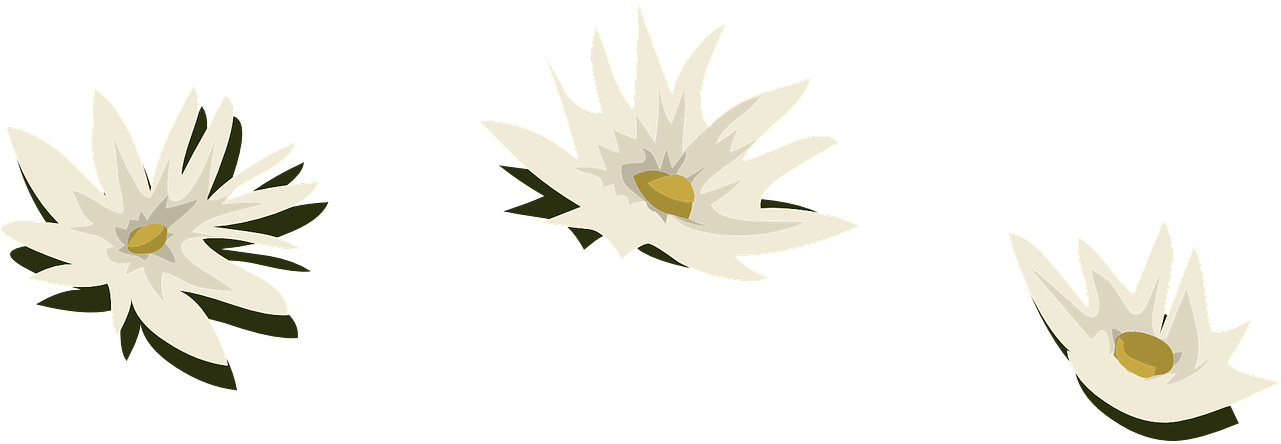 Type Ultra (960x480), Png Download