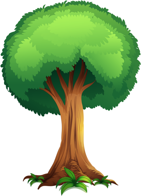 Tree * Tree Clipart, Cartoon Stickers, Tree Leaves, (605x800), Png Download