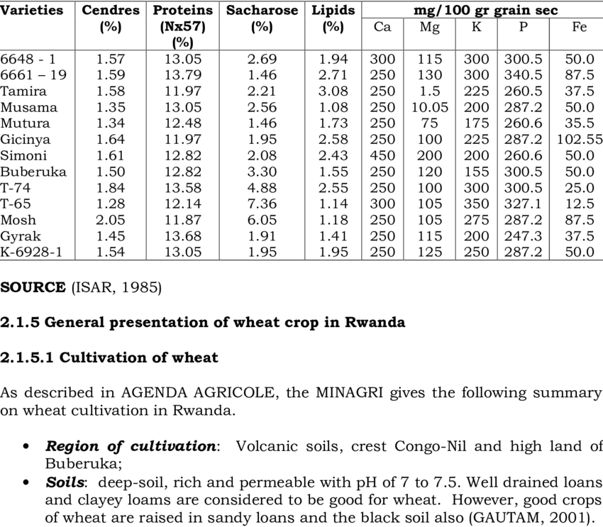 Wheat Png Image (850x743), Png Download