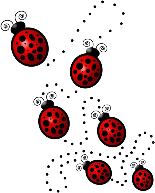Lady Bug Drawing, Ladybug Crafts, Bug Art, Butterfly (645x800), Png Download