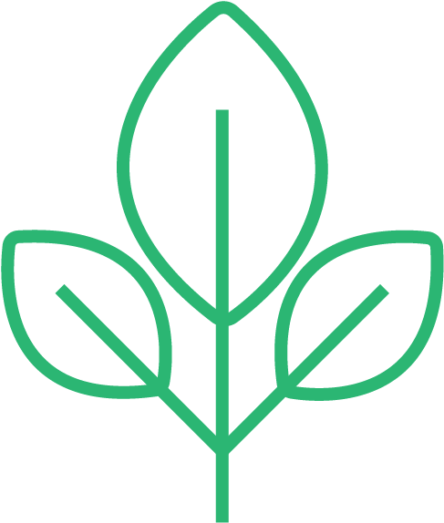Herbs (610x610), Png Download