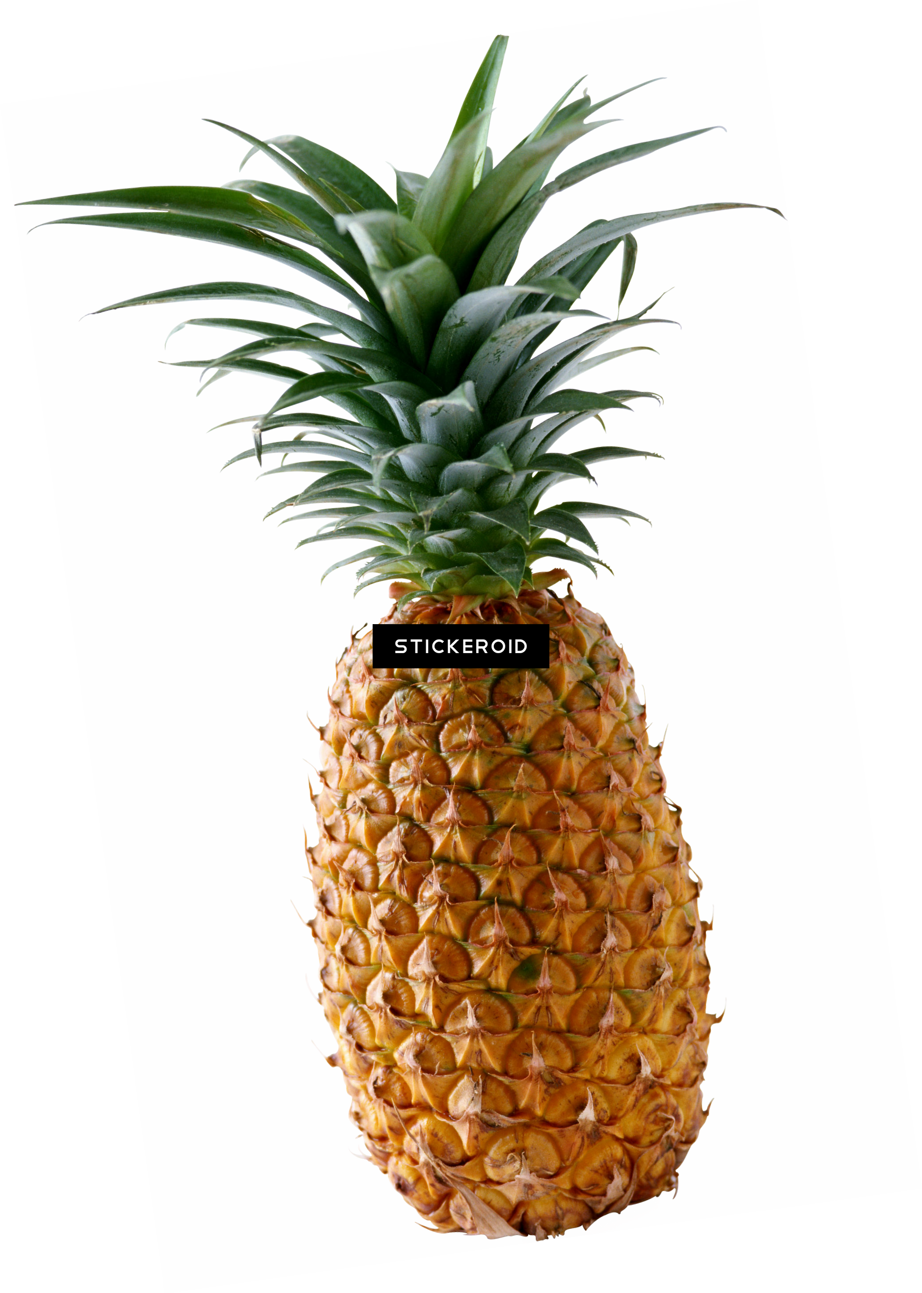 Pieces Of Pineapple (1878x2633), Png Download