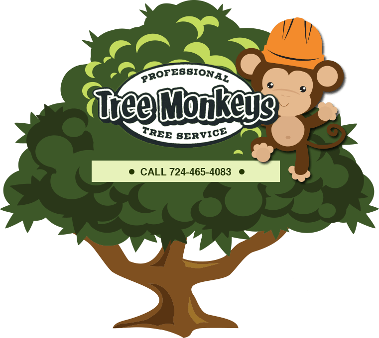 Carvings Clipart Stump Grinding (761x680), Png Download