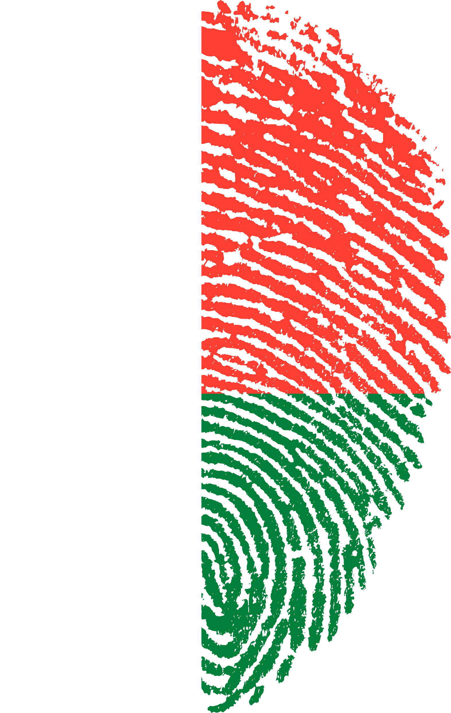 Madagascar Flag Fingerprint Country (1573x2488), Png Download