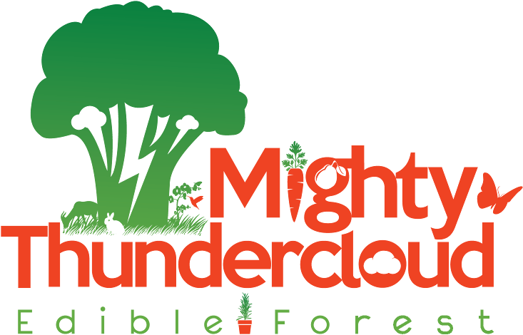 Mighty Thundercloud Edible Forest (1000x1000), Png Download
