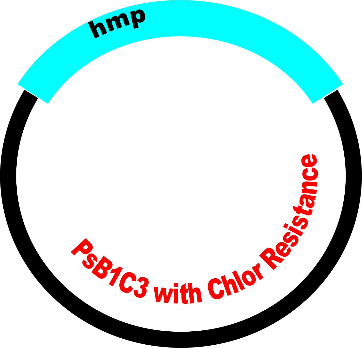 Part Submitted To The Registry (1501x1444), Png Download