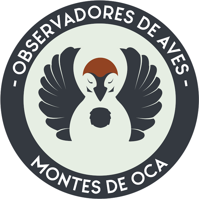 Anuncios (699x662), Png Download