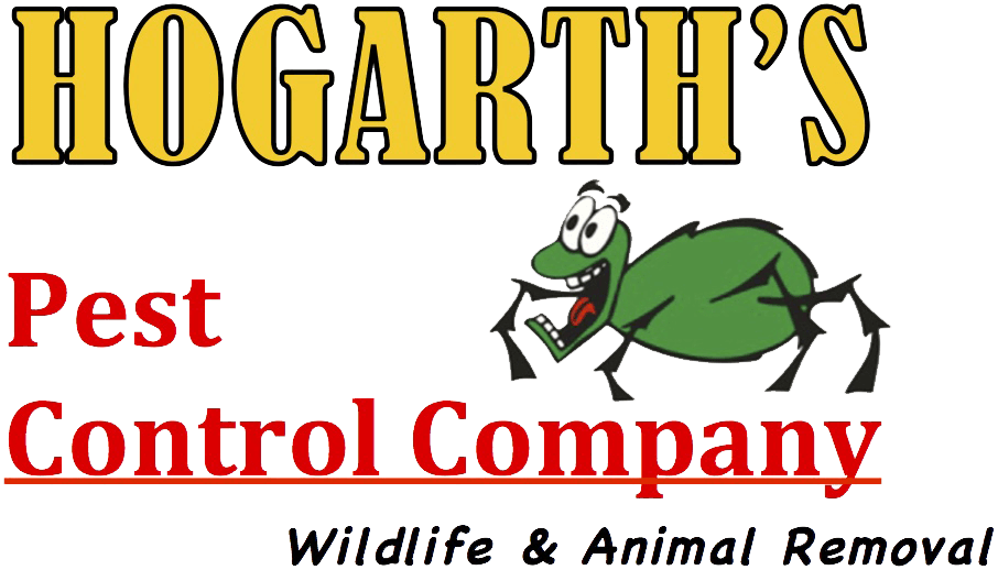 Hogarths Pest Control (906x518), Png Download