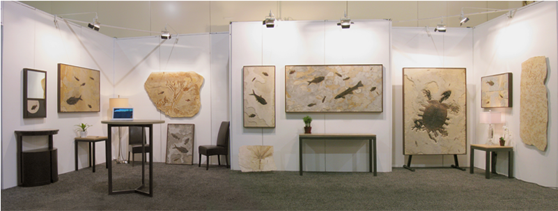 Fossil Stone Murals Showroom Trade Show (800x460), Png Download