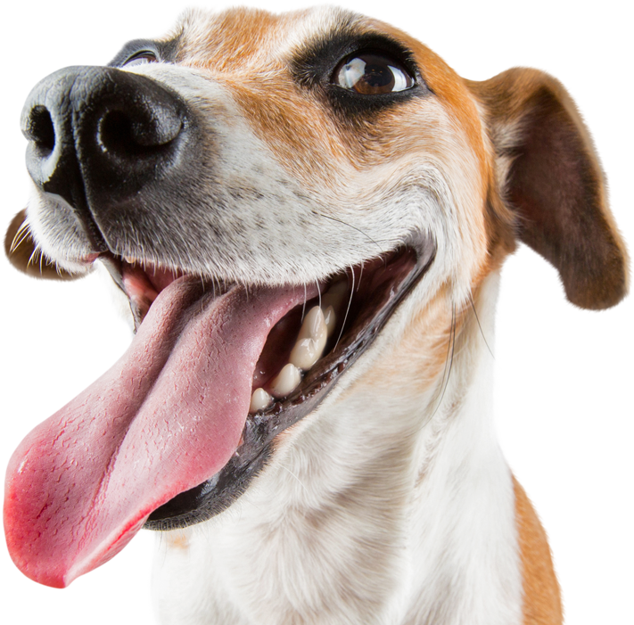 Email ¡déjanos Tu E-mail Y Te Enviaremos Contenido (711x701), Png Download