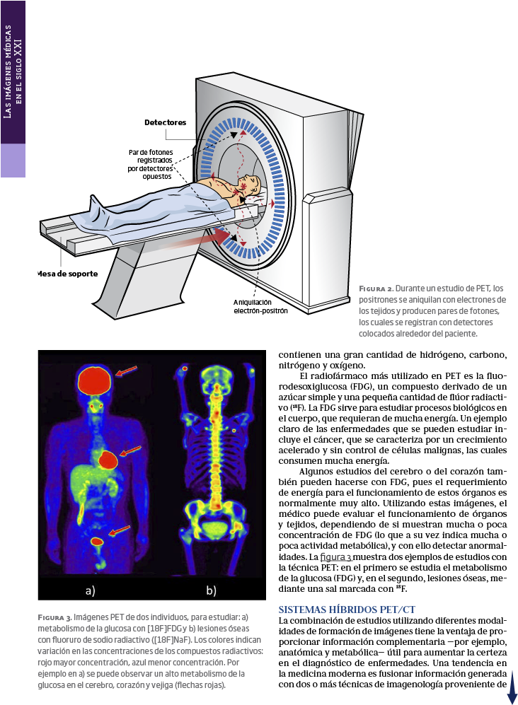 Centros De Investigación Conacyt (768x1024), Png Download