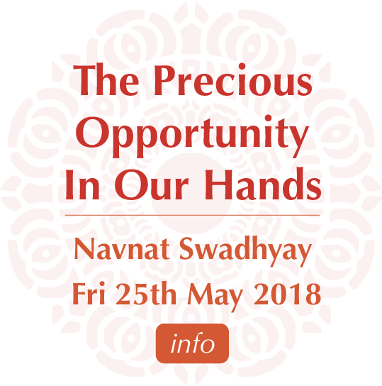 Navnat-10 (561x560), Png Download