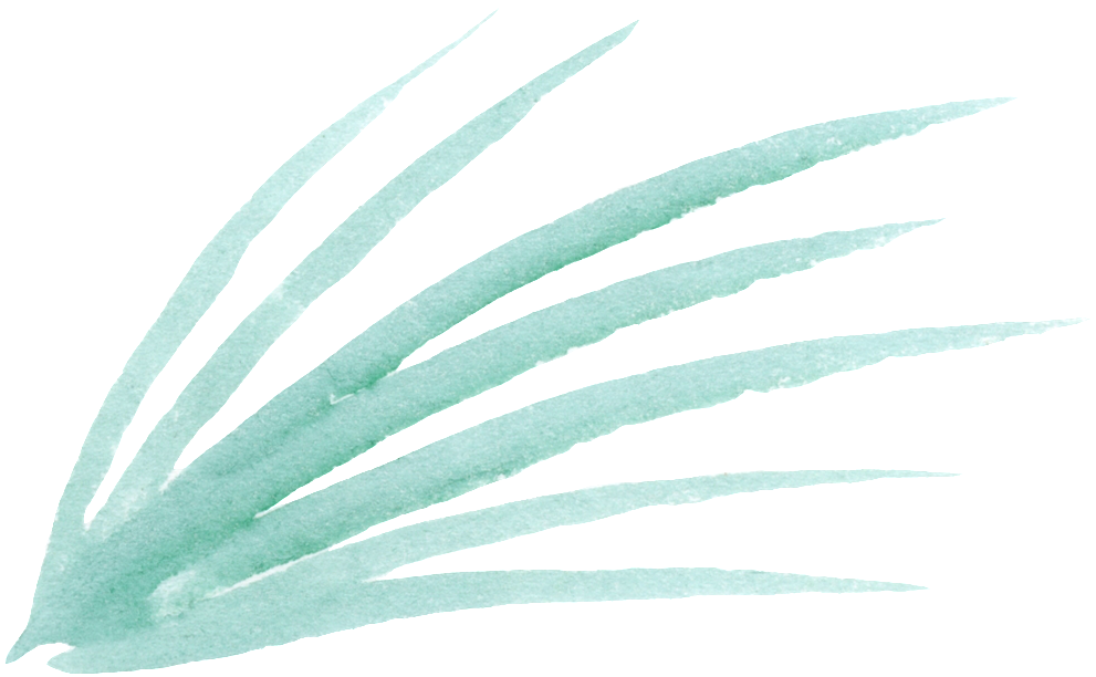 Estrella Fugaz Png (1024x701), Png Download
