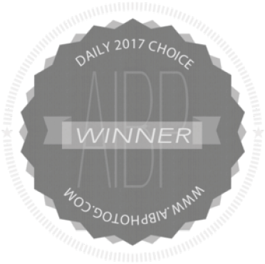 Aibp Daily Choice Winner (800x500), Png Download