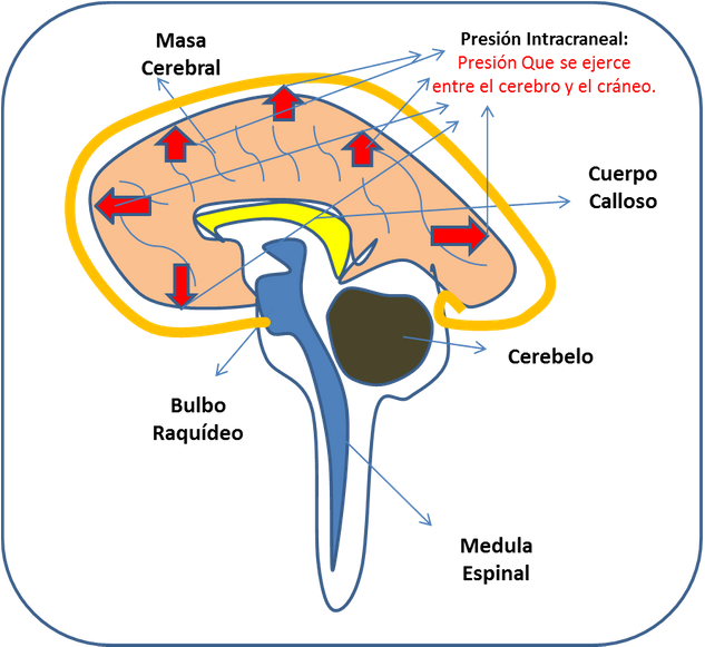 Fuente De Imagen Elaborada Por @felixrodriguez (640x580), Png Download