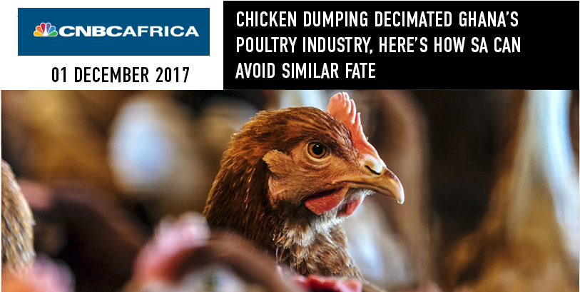 Chicken Dumping Decimated Ghana's Poultry Industry, (900x469), Png Download