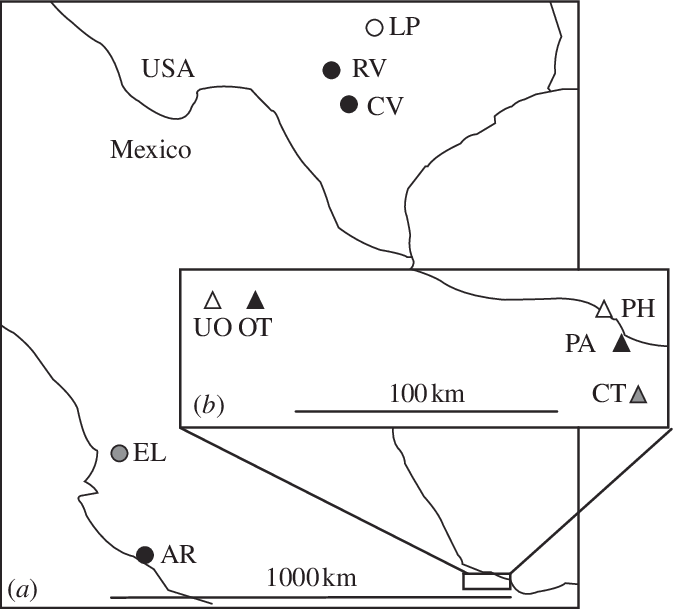 Distribution Of The Five H (673x609), Png Download