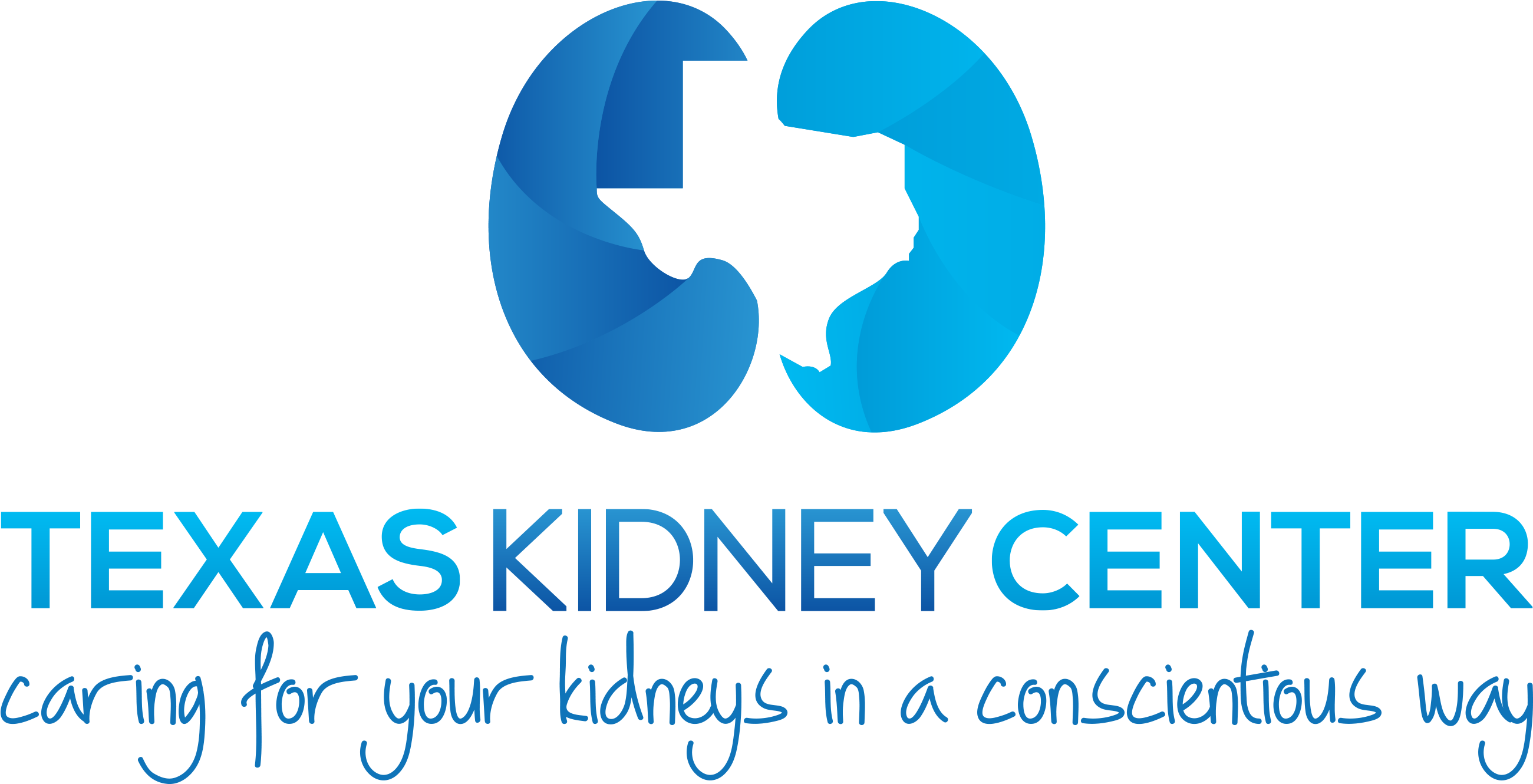 Kidneys Png (2628x1546), Png Download