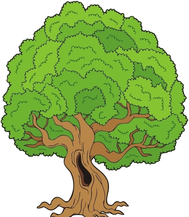 Gifs De Árvores, Imagens De Árvores Png Fundo Transparente (657x750), Png Download