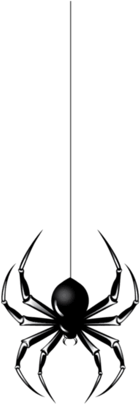 Download Halloween Black Spider Png Images Background (480x1353), Png Download