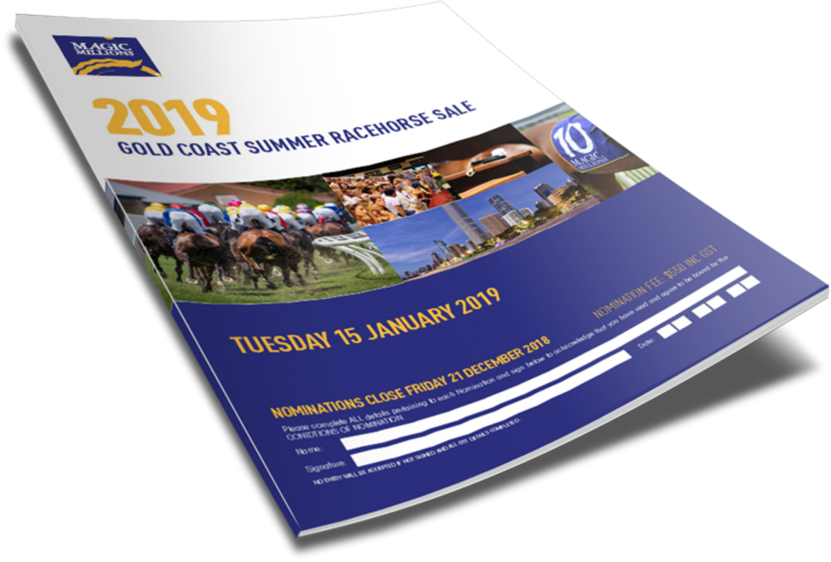 ← 2019 Gold Coast Summer Racehorse Sale (1183x800), Png Download