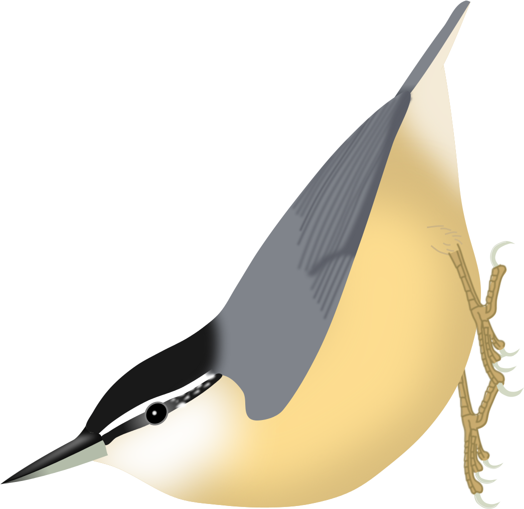 Grieta Png (1200x1261), Png Download