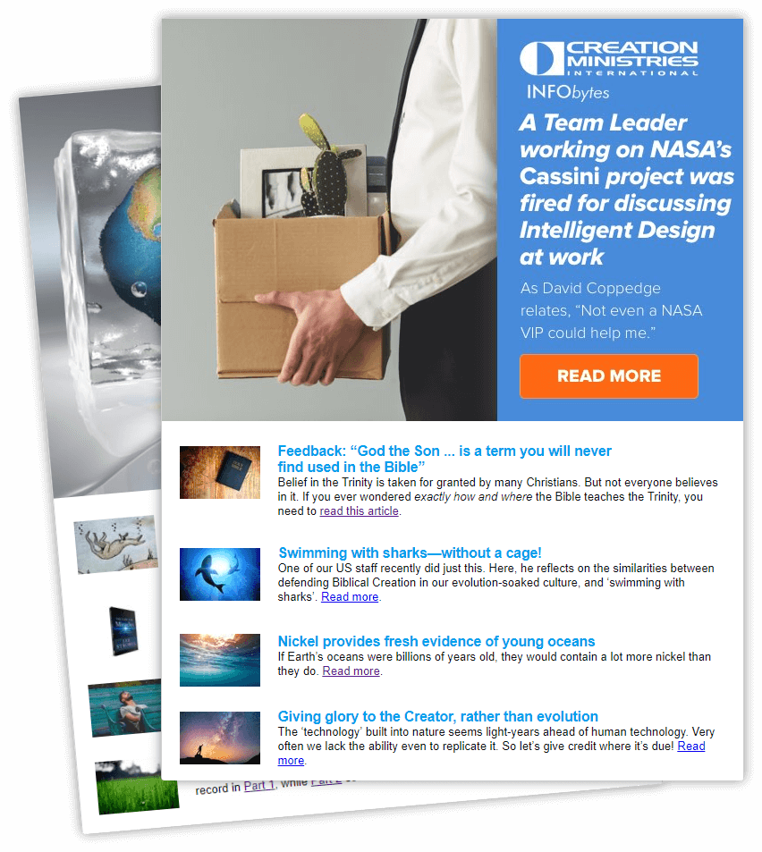 Creation Infobytes (852x953), Png Download