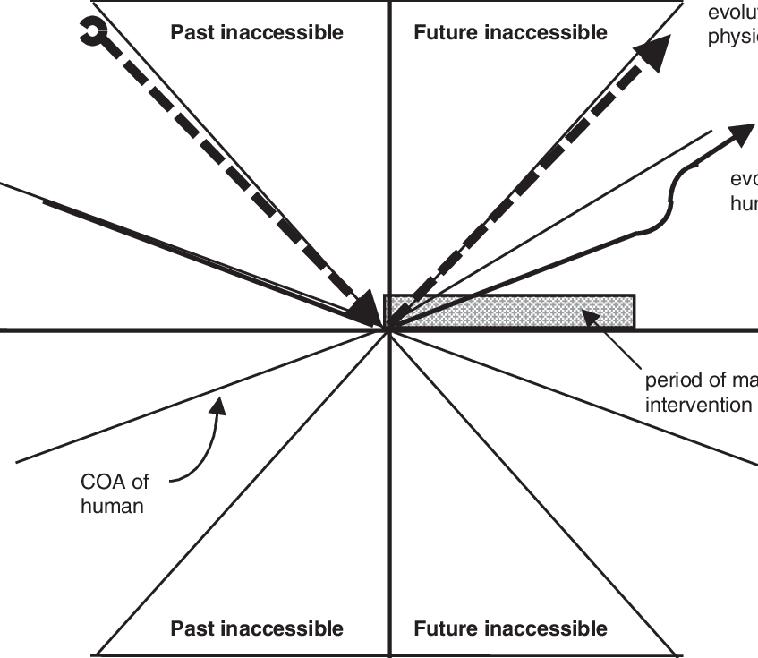 The F Human Is Slowed, So That The Rate Of Evolution (847x735), Png Download
