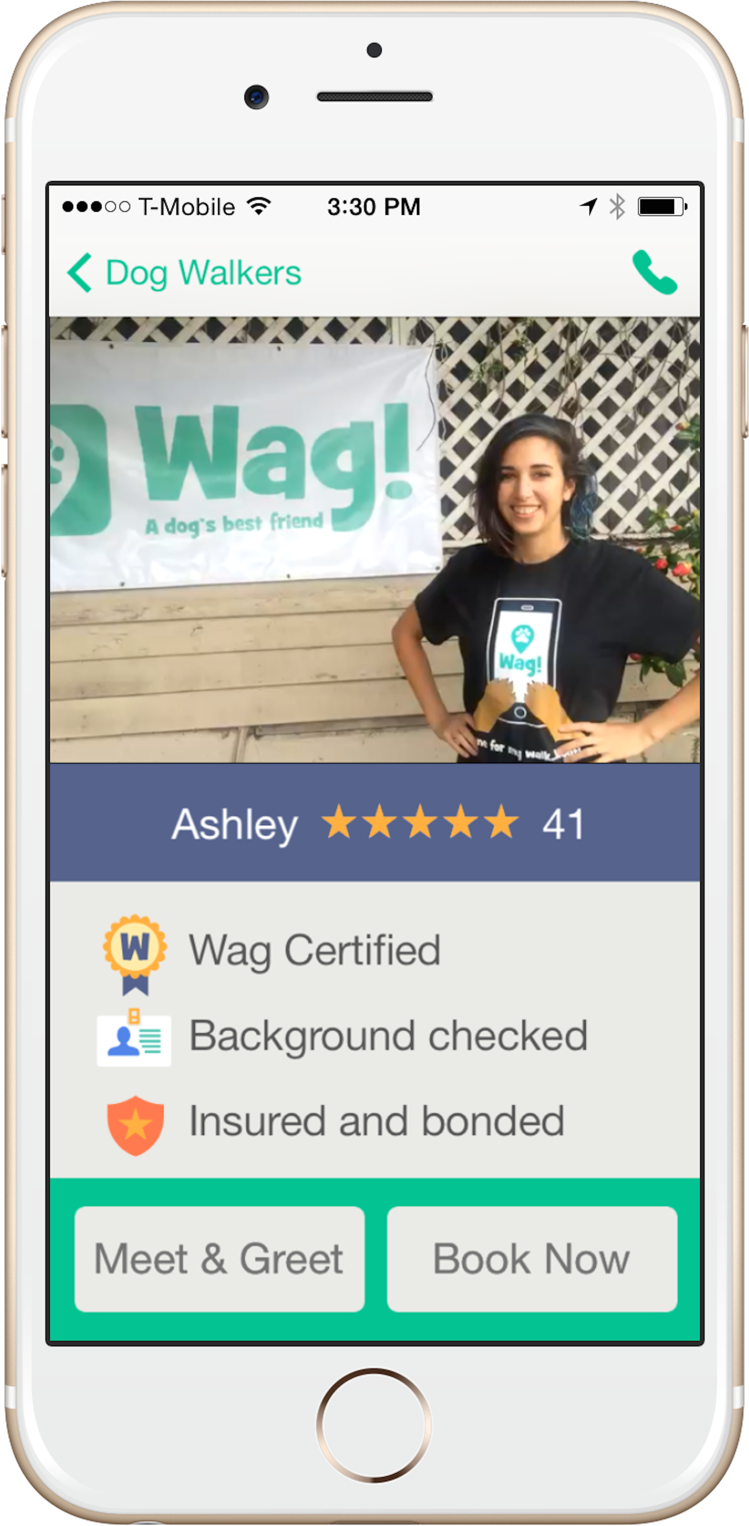 Let's You Schedule A Walker For You Dog And Then You (3217x6421), Png Download
