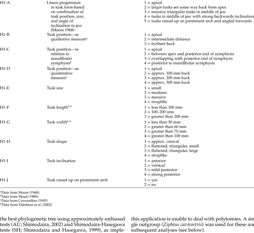 Details Of Mesoplodon Tusk Coding Options (850x782), Png Download