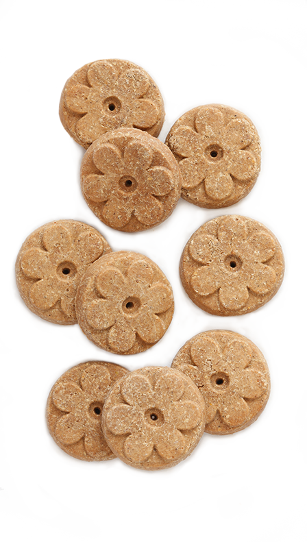 Earthborn Holistic® Lamb Meal Recipe Biscuits (448x791), Png Download