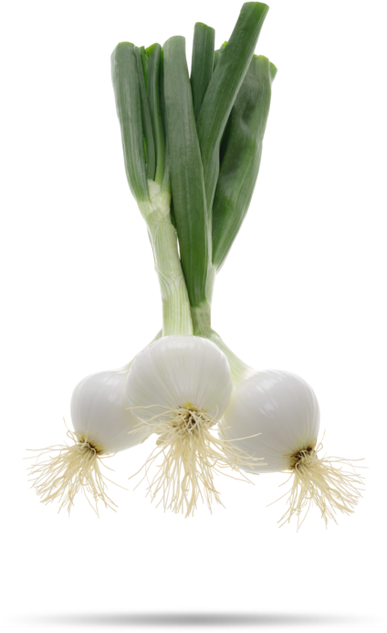 Cebolla Png (768x934), Png Download