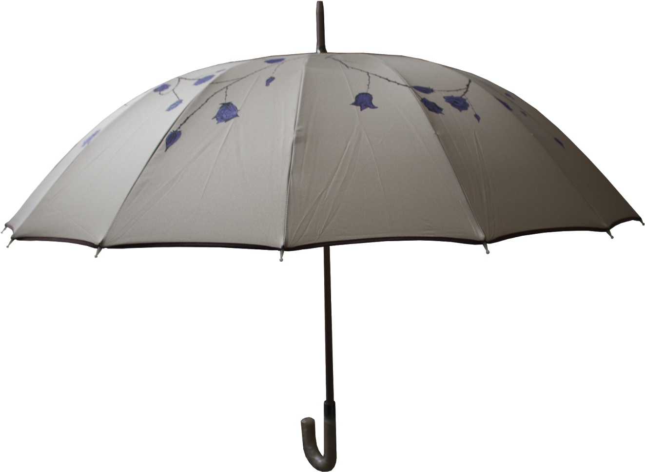 Se Trata De Una Enredadera De Rosas (1600x1066), Png Download