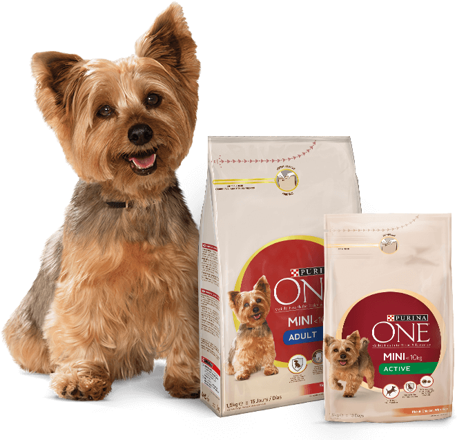 Yorkshire Terrier Y Productos Purina One Mini (686x658), Png Download