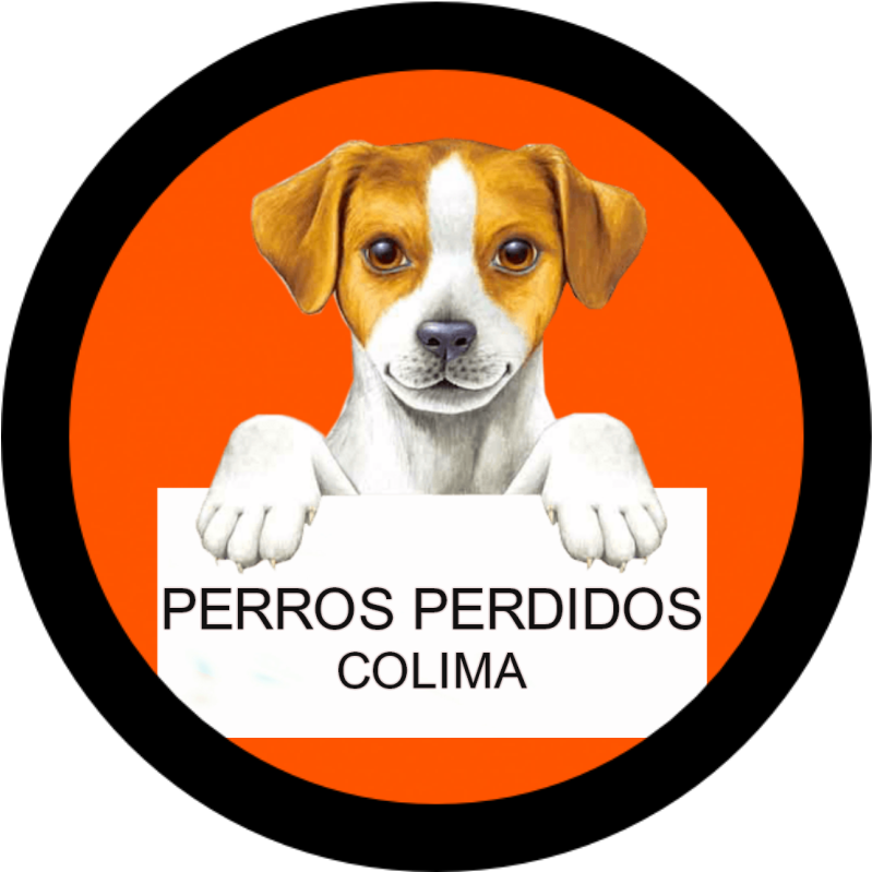 En Este Sitio Web Te Ayudaremos A Localizar A Tu Pequeño (900x800), Png Download