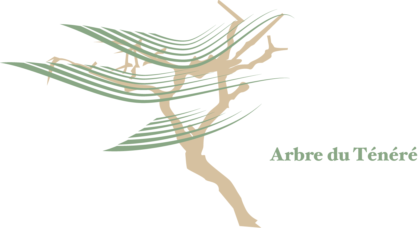 Arbre Du Tenere (1423x777), Png Download