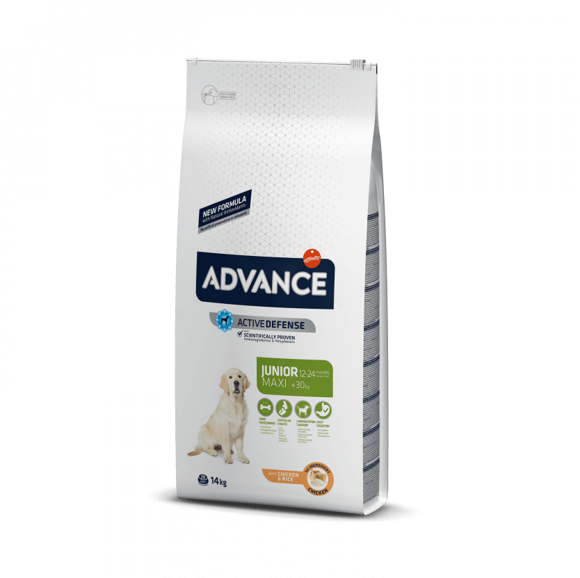 Advance Junior (840x840), Png Download