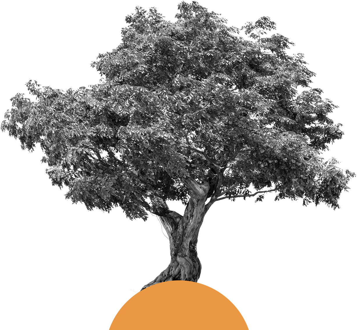 A Culture Bearing Values And Pillars On Which The Organisation (1364x1135), Png Download