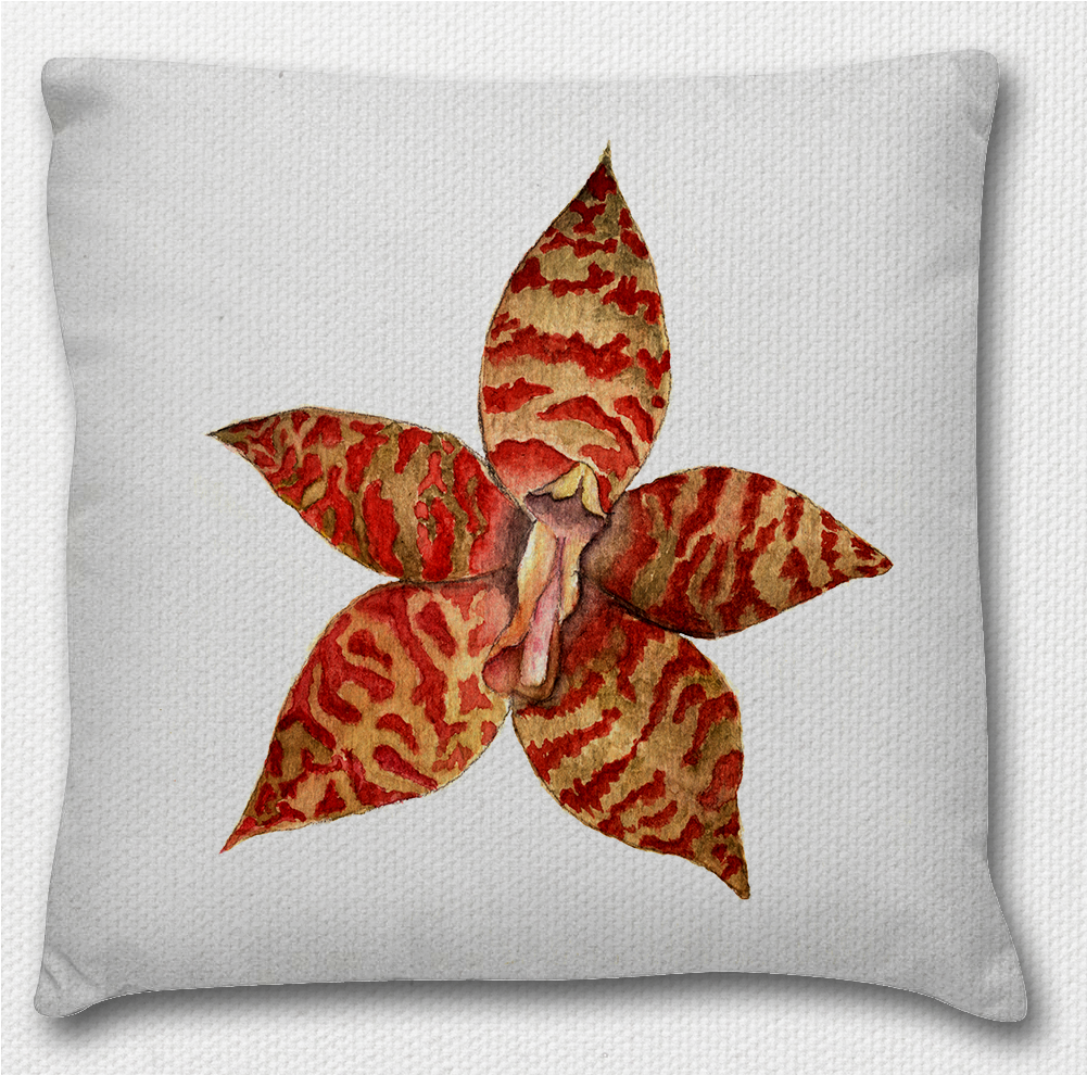 Almofada Mockup Orquidea (1000x1006), Png Download