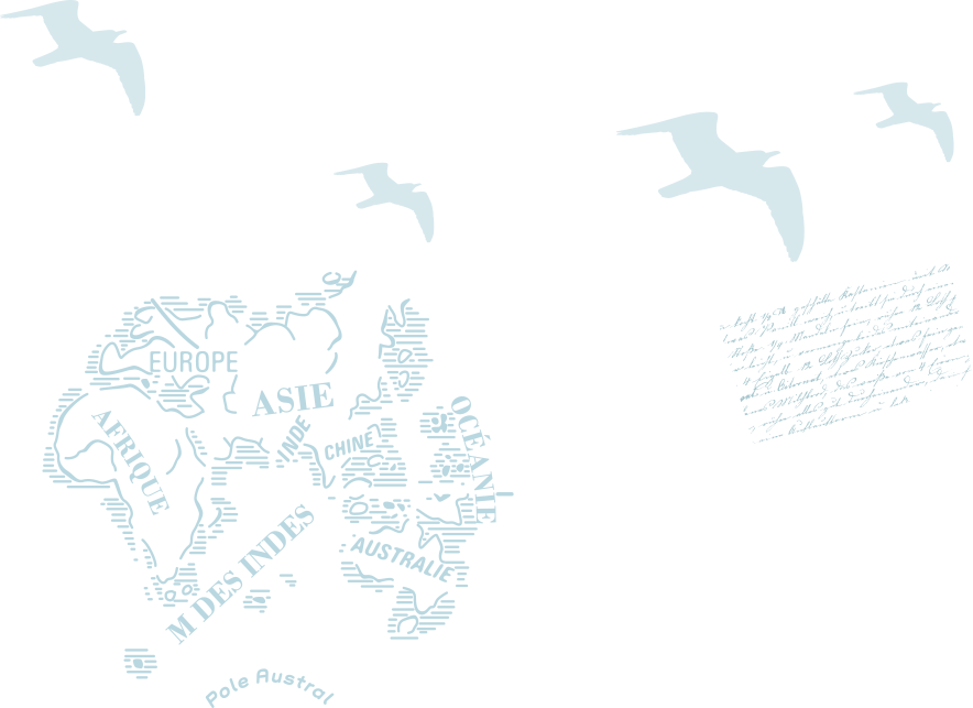 Gaviotas Png (884x643), Png Download