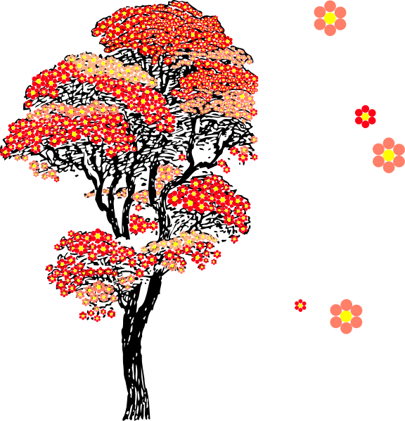 How To Set Use Japanese Cherry Blossom Tree Clipart (576x598), Png Download