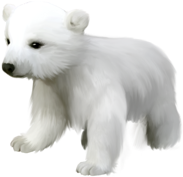 Cute Small Polar Bear Png Clipart - Cute Polar Bear Transparent (600x576), Png Download