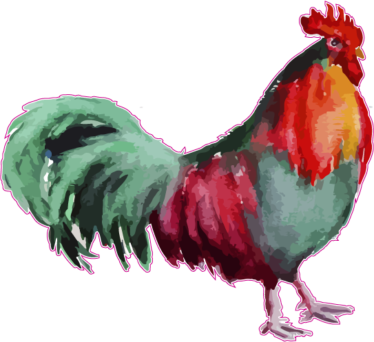 Watercolor Animal Printed Transfers - Colorful Chicken (543x497), Png Download