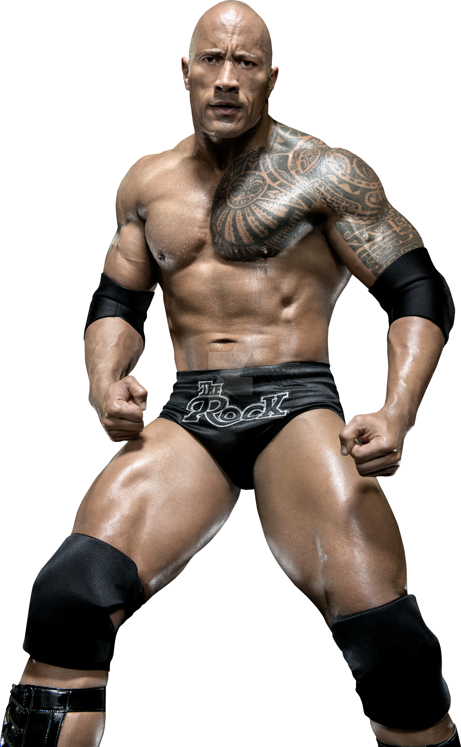 The Rock Png Free Download - Rock Images Free Download (1600x2591), Png Download