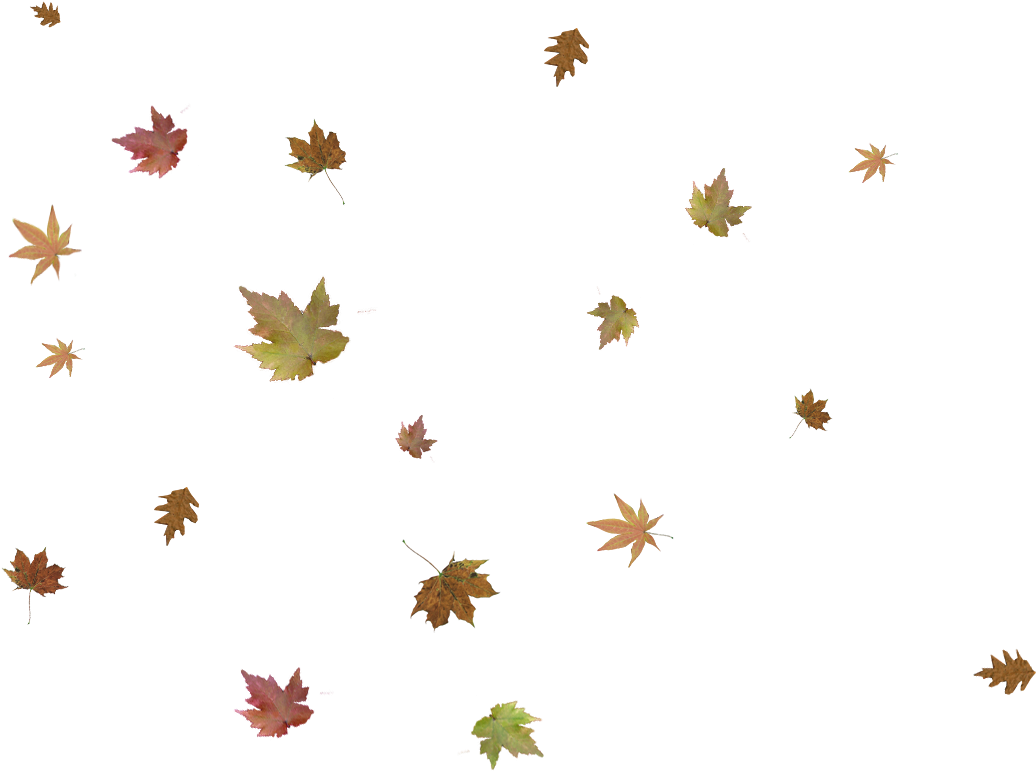 Falling Autumn Leaves Png Pic - Crossroads Church (1280x980), Png Download