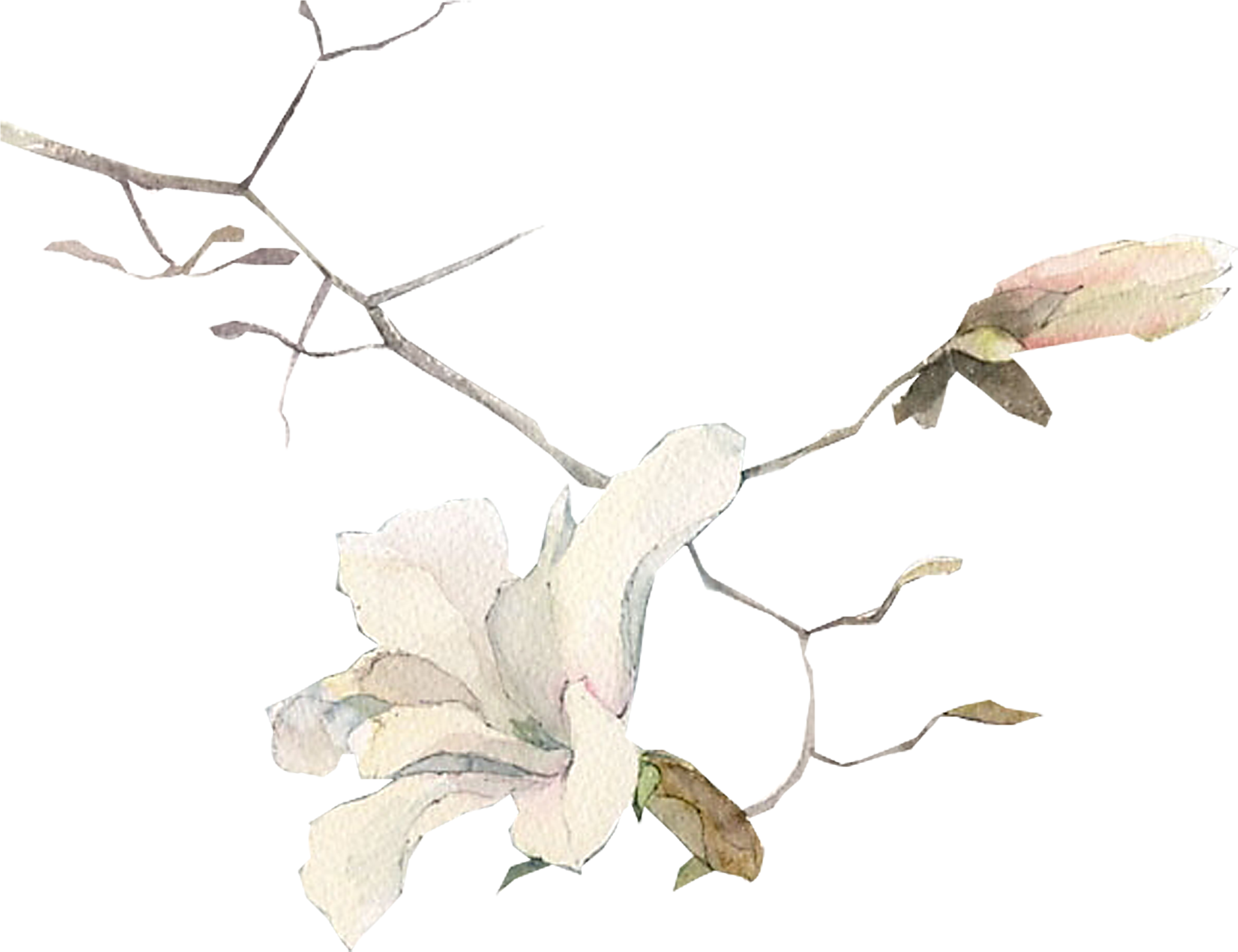 Clip Transparent Stock Painting Art Illustration Hand - Painting (2916x2721), Png Download