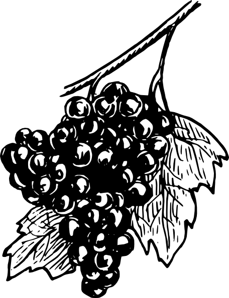 How To Set Use Grapes Svg Vector (456x595), Png Download