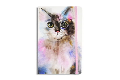 Tabby Cat (500x500), Png Download