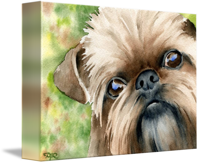 "brussels Griffon" By David Rogers, Fresno // - Griffon Bruxellois (650x532), Png Download