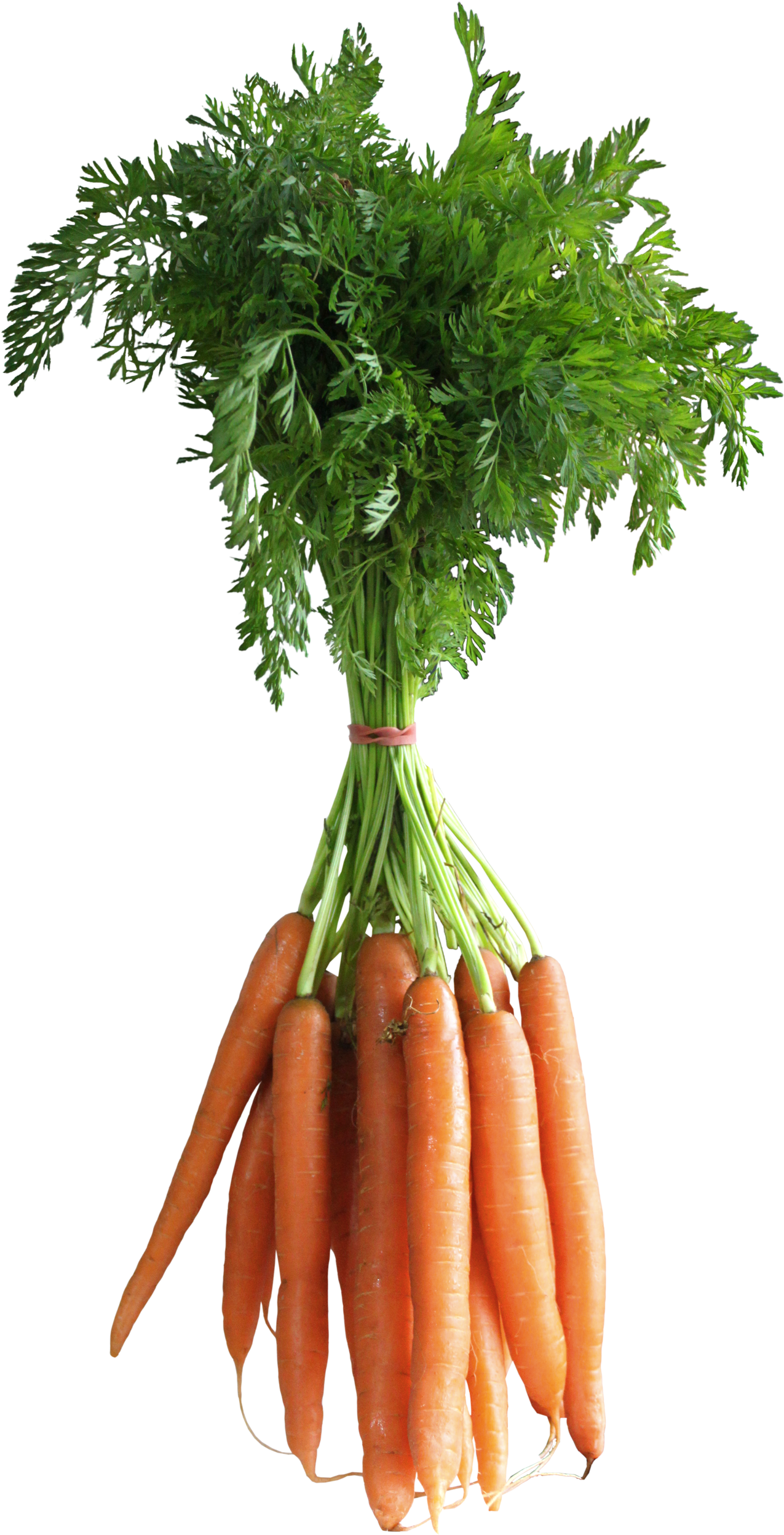 Carrots Png Clipart Picture Fruits And Vegetables, - Transparent Background Carrots Png (323x600), Png Download